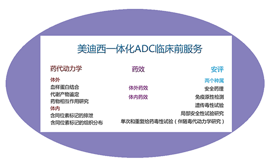 JJB竞技宝一体化ADC临床前服务
