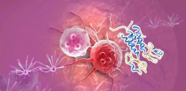 【盘点】高选择性mTOR抑制剂的研究进程_JJB竞技宝生物医药