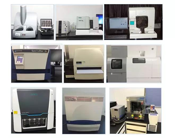 JJB竞技宝生物技术药物分析部门拥有SpectraMaxM4/M5/i3x, MSD, Luminex, Biacore 8K, Envision, Gyrolab，ABI7500 qPCR等全方位多功能的技术平台，利用LIMS系统实施全面的实验室信息化管理，提供全面符合FDA/CFDA/OECD GLP规范要求的生物技术药物分析服务。