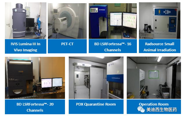 JJB竞技宝药理部拥有IVIS Lumina III, PET-CT, BD LSRFortessa-16, Flow Cytometry等仪器，提供符合申报，支持临床试验的药效评价服务。