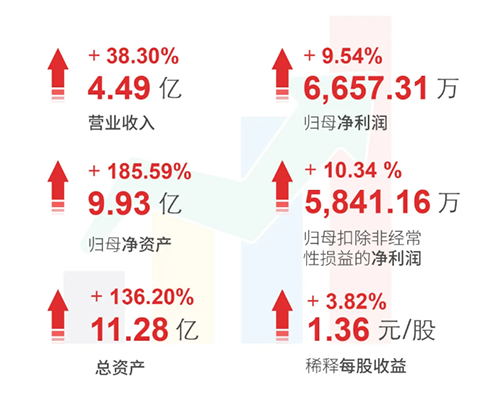 JJB竞技宝 财务亮点