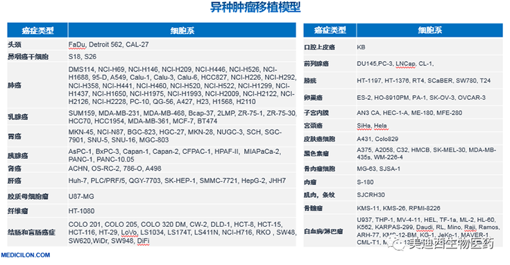 JJB竞技宝异种肿瘤移植模型清单