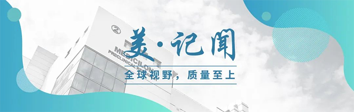 海宁市副市长杨文华一行调研JJB竞技宝