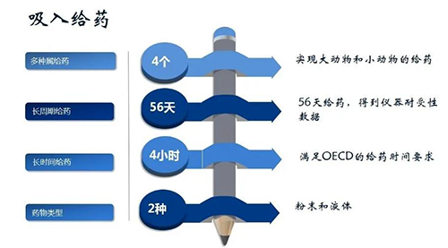 JJB竞技宝吸入给药安全性评价服务