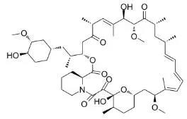 雷帕霉素新制剂用于罕见病，获4500万美元融资