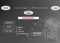 人工合成NT类脂质开放血脑屏障，为CNS药物打开新局面