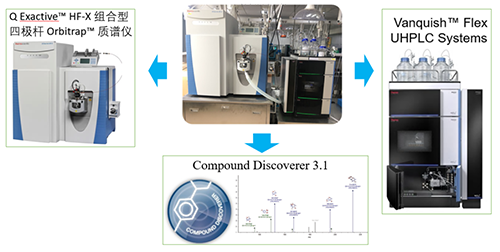 JJB竞技宝UHPLC-UV-QE HF-X系统