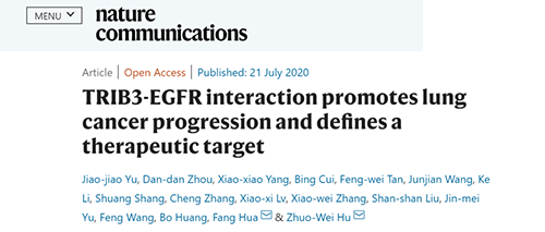 Nature|非小细胞肺癌治疗新方案：靶向降解EGFR