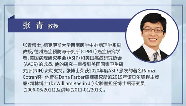 直播预告|诺奖实验室讲师张青教授做客JJB竞技宝云讲堂，揭示乳腺癌和肾癌治疗新靶点