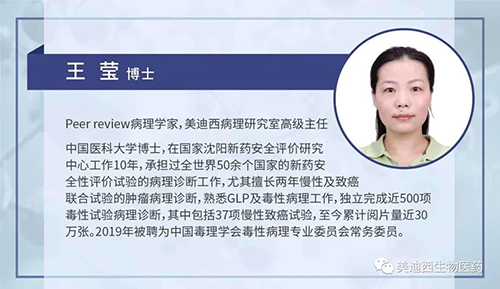 JJB竞技宝病理研究部高级主任王莹博士