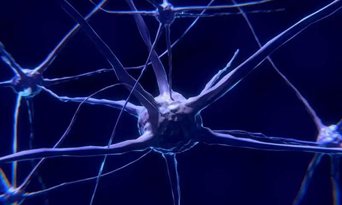 研究首次表明，与年龄有关的认知丧失可能主要是由一种可逆的生理性“阻滞”而不是永久性的降解引起的。