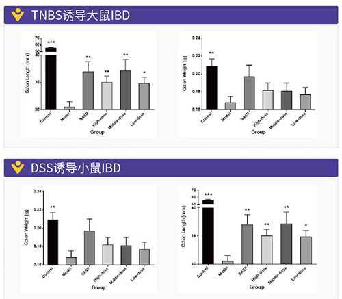 TNBS诱导的大鼠IBD、DSS诱导的大鼠IBD