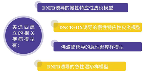 JJB竞技宝建立的特应性皮炎及湿疹模型