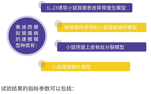 JJB竞技宝模拟银屑病的建模模型种类