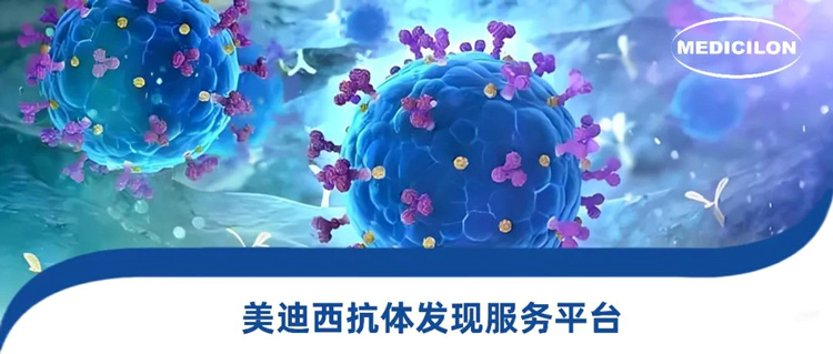 JJB竞技宝抗体发现服务平台.webp