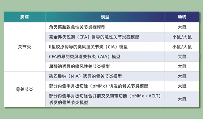 世界关节炎日：突破上亿人的共同难关，持续探索关节炎新药