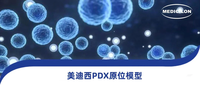 JJB竞技宝118种PDX原位模型，助力肿瘤药物研发.webp