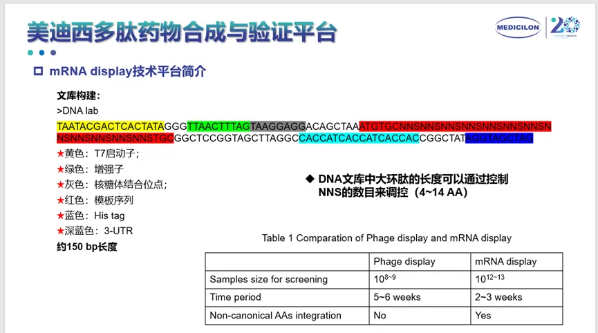 JJB竞技宝多肽药物合成与验证平台.webp