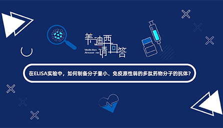 在ELISA实验，如何制备分子量小、免疫原性弱的多肽药物分子的抗体？