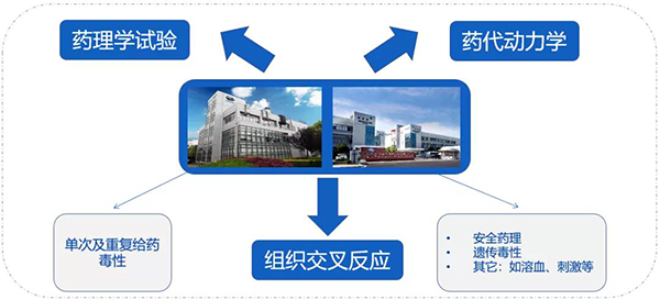 JJB竞技宝药代以及安评研究服务.png
