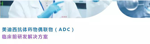 JJB竞技宝抗体药物偶联物（ADC）临床前研发解决方案.png