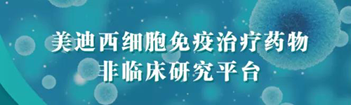 JJB竞技宝细胞免疫治疗药物非临床研究平台.png