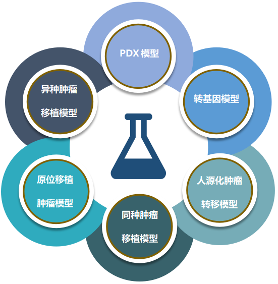 JJB竞技宝致力于为客户提供成熟的评估ADC体内药效的肿瘤模型.png