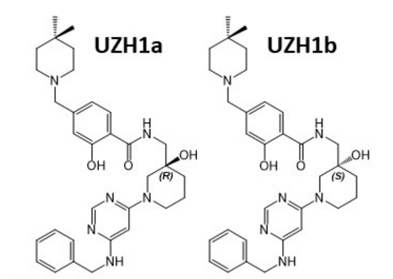 研究人员报告了一种具有细胞渗透性的选择性METTL3纳摩尔抑制剂UZH1a，作者感谢JJB竞技宝合成了UZH1a和UZH1b