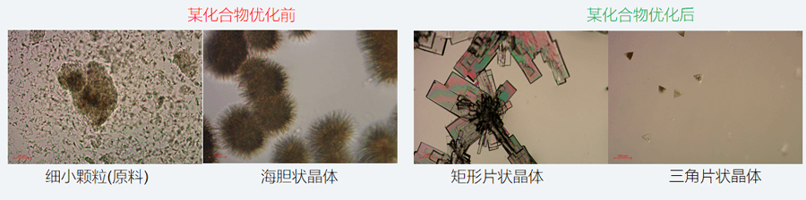 05案例分享-单晶培养，改变晶习.png