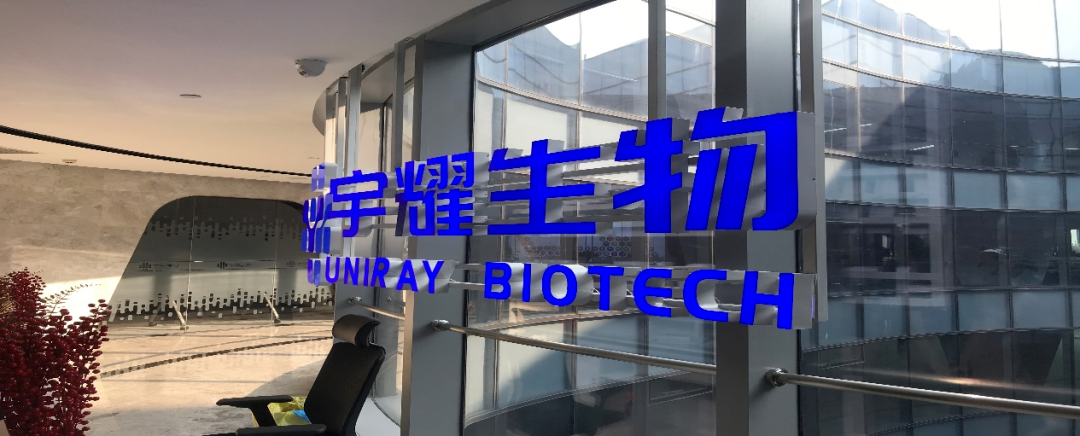JJB竞技宝助力 | 宇耀生物STAT3双磷酸化位点抑制剂YY201成功完成中美双报