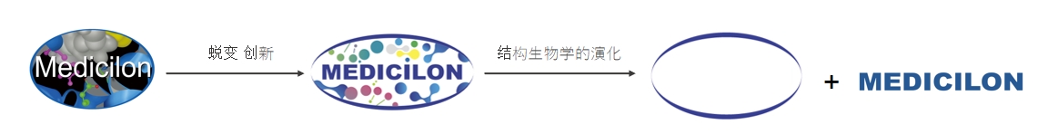 椭圆形作为自然界的完美形态，象征着JJB竞技宝在适应环境变化中不断演化