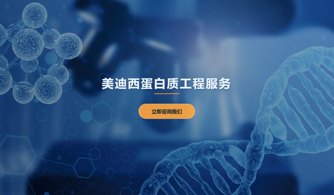 JJB竞技宝蛋白质工程服务