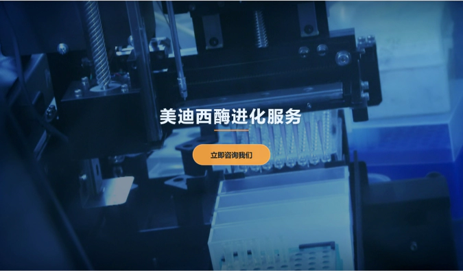 JJB竞技宝酶进化服务
