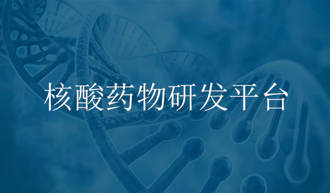 JJB竞技宝核酸药物研发服务平台.webp