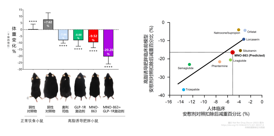 4周降低近10%体重！JJB竞技宝助力慕恩生物MNO-863活菌生物药获批临床