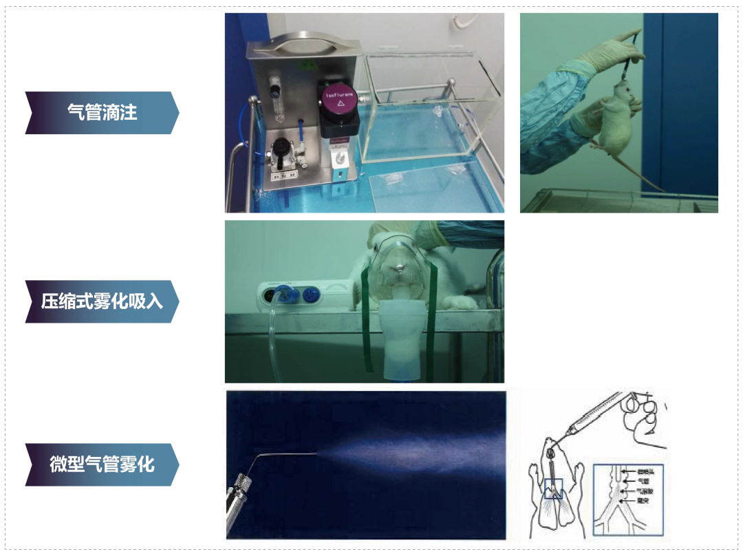 JJB竞技宝其它吸入给药方式.webp