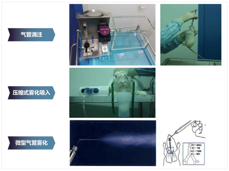 JJB竞技宝其它吸入给药方式.webp