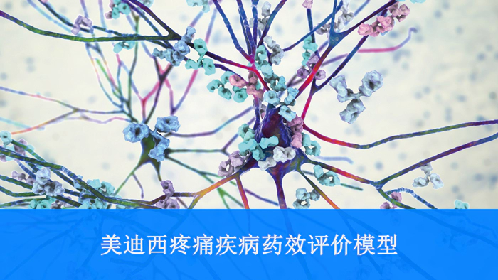 JJB竞技宝疼痛疾病药效评价模型.webp